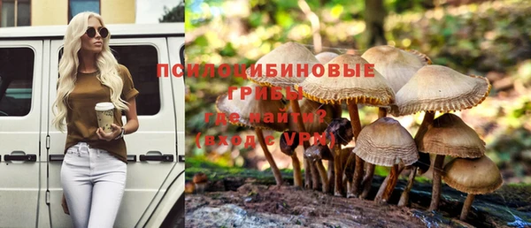 СК Абдулино