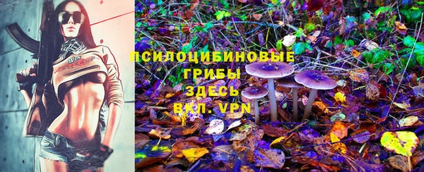 первитин Абинск