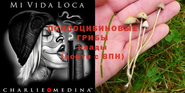 первитин Абинск