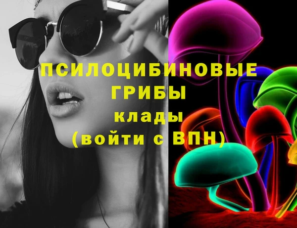 стаф Абаза