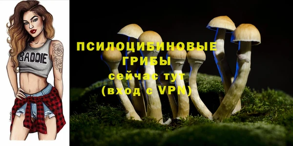 первитин Абинск